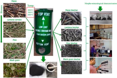 Research progress on biochar-based material adsorption and removal of ibuprofen